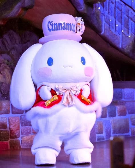 The Journey of Cinnamoroll's Mascot Regalia: From Concept to Reality